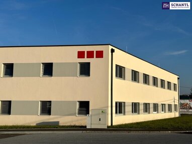 Büro-/Praxisfläche zum Kauf 3.000 € 219,9 m² Bürofläche Fasangasse Kalsdorf bei Graz 8401