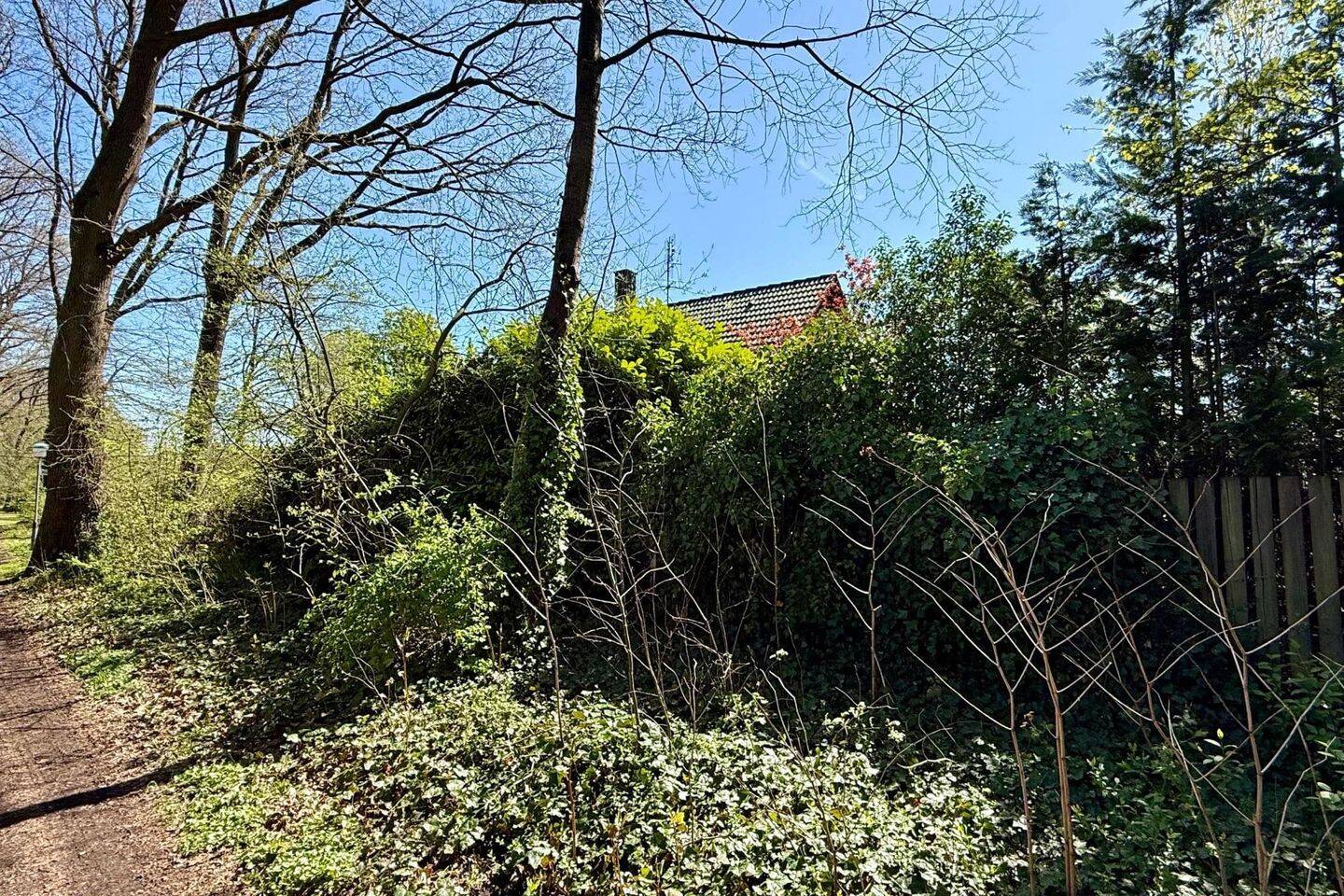 Einfamilienhaus zum Kauf - Ansicht 4