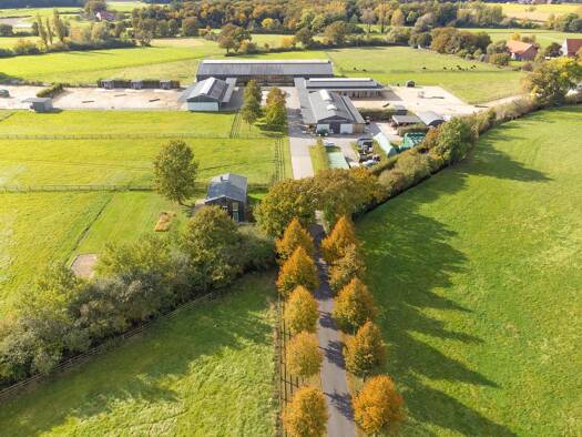Einfamilienhaus zum Kauf 6 Zimmer 150 m² 120.000 m² Grundstück Rinkerode Drensteinfurt 48317