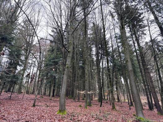 Land-/Forstwirtschaft zum Kauf 65.000 € 17.850 m² Grundstück Deggendorf 94469