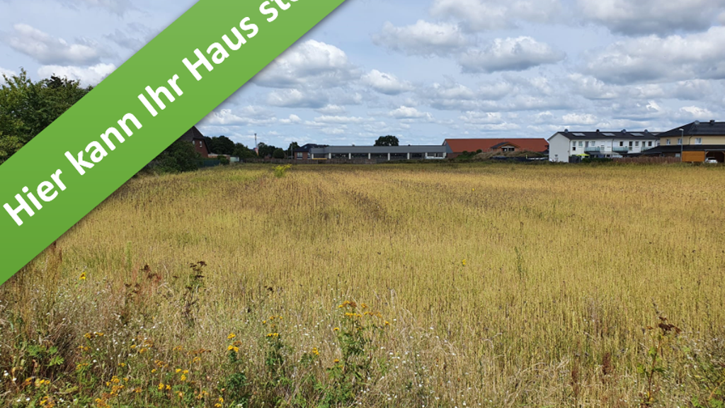 Einfamilienhaus zum Kauf - Erstbezug provisionsfrei 267.290 € 4 Zimmer 106 m² 657 m² Grundstück Leiferder Weg Meinersen 38536