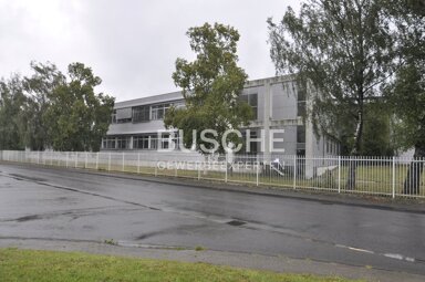 Bürofläche zur Miete 658,7 m² Bürofläche Burgsteinfurt Steinfurt 48565