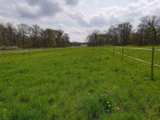 Grundstück zum Kauf 119.400 € 564 m² Grundstück Laer 48366