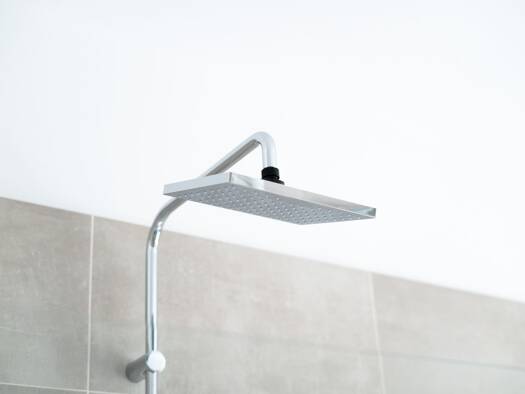 Wohnung zur Miete 799 € 2 Zimmer 53 m² 1. Geschoss Könneritzstraße 31 Schleußig Südwest 04229