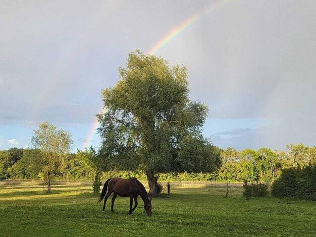 Reiterhof zum Kauf 36.190 m² Grundstück Kleinmachnow 14532
