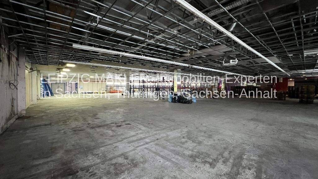 Lagerhalle zur Miete 1.800 m² Lagerfläche Delitzsch 04509