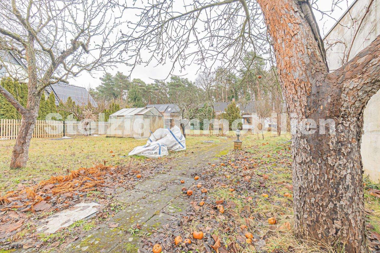 Immobilie in Ruhland - Kleines Haus. Große Möglichkeit. - Bild 2