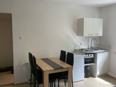 Wohnung zur Miete 550 € 2 Zimmer 33 m² Geschoss 1/1 frei ab sofort Brückenstraße 7 Konz Konz 54329