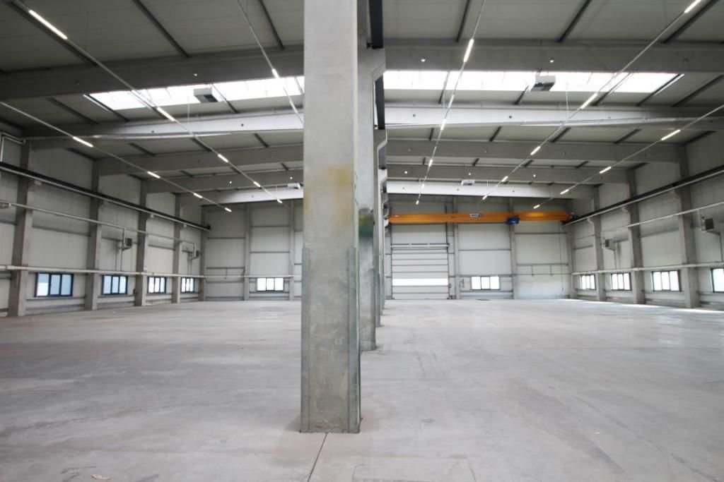 Halle/Industriefläche zur Miete 2.545 m²<br/>Lagerfläche ab 2.545 m²<br/>Teilbarkeit Friesenheim / Stadtbezirk 153 Ludwigshafen 67063