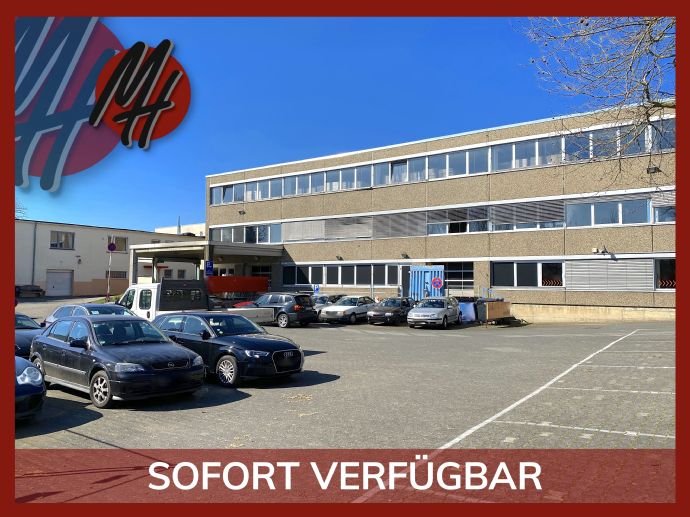 Lagerhalle zur Miete 4,90 € 1.350 m²<br/>Lagerfläche Zeilsheim Frankfurt am Main 65931