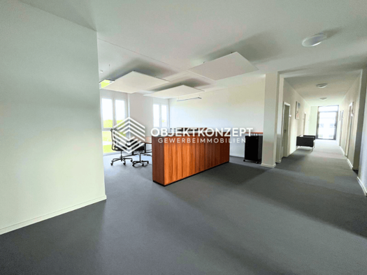 Büro zur Miete 1.704 € 264 m² Bürofläche Aldingen 78554