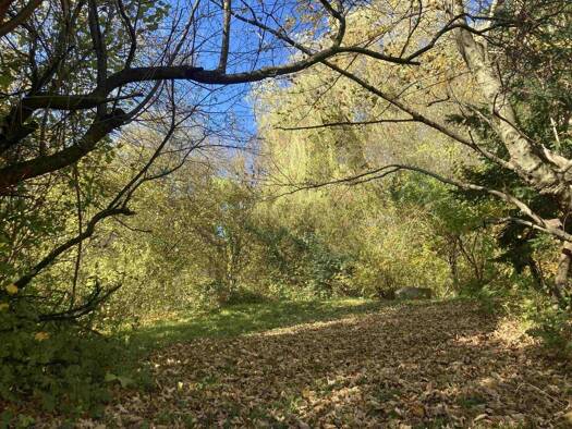 Grundstück zum Kauf 695.000 € 2.396 m² Grundstück Untertullnerbach 3011