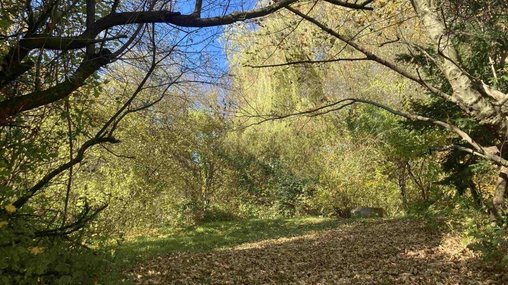 Grundstück zum Kauf 695.000 € 2.396 m² Grundstück Untertullnerbach 3011