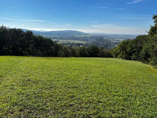 Grundstück zum Kauf 98.000 € 10.300 m² Grundstück Tulbing 3434