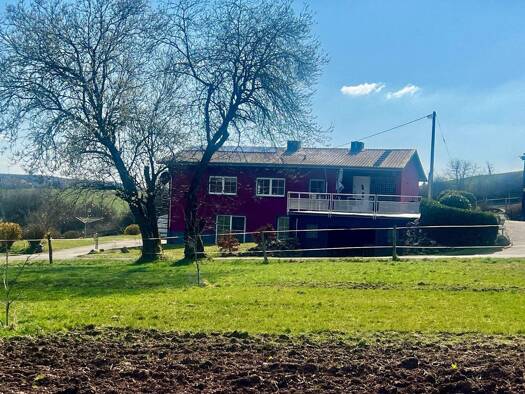 Mehrfamilienhaus zum Kauf 370.000 € 170 m² 16.335 m² Grundstück Richelberg 17 Bleialf 54608