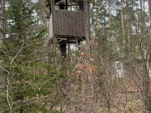 Grundstück zum Kauf 75.000 € 1.170 m² Grundstück Klein Köris Groß Köris-Klein Köris 15746