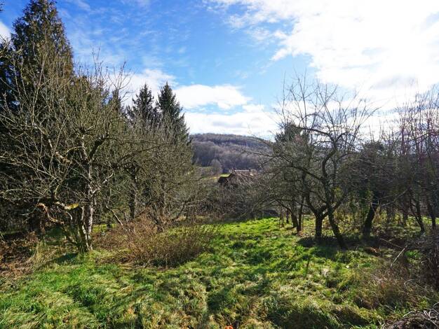 Grundstück zum Kauf 590.000 € 961 m² Grundstück Mauerbach 3001