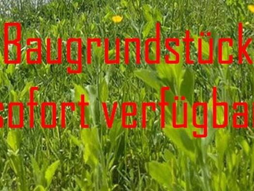 Grundstück zum Kauf 780.000 € 1.200 m² Grundstück Raisting 82399
