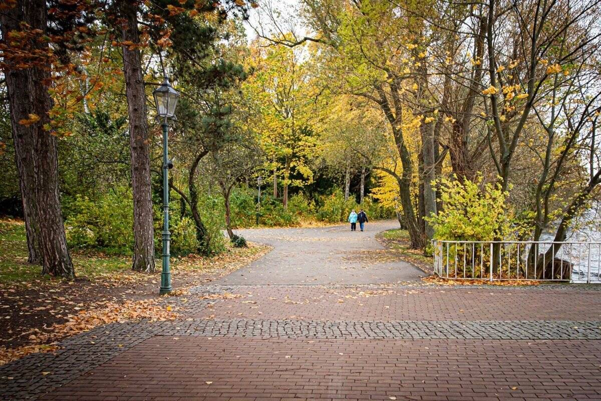 Property thumbnail 12