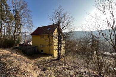 Mehrfamilienhaus zum Kauf 388.000 € 6 Zimmer 125 m² 1.228 m² Grundstück Tuttlingen Tuttlingen 78532