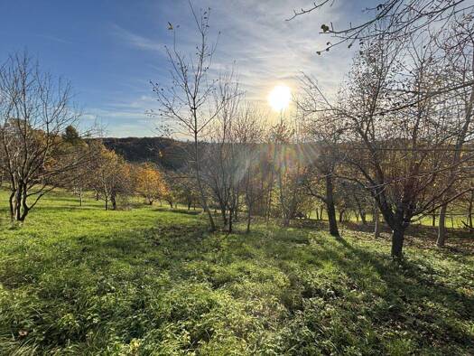 Land-/Forstwirtschaft zum Kauf 24.105 € 6.026 m² Grundstück Ruppersdorf 8362