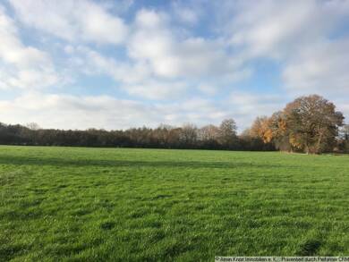 Land-/Forstwirtschaft zum Kauf 9.868 m² Grundstück Hankhausen II Rastede 26180