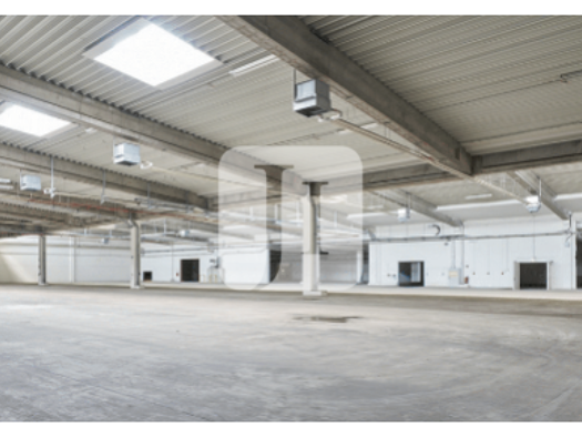 Lagerhalle zur Miete 3.529 m² Lagerfläche Buxtehude 21614