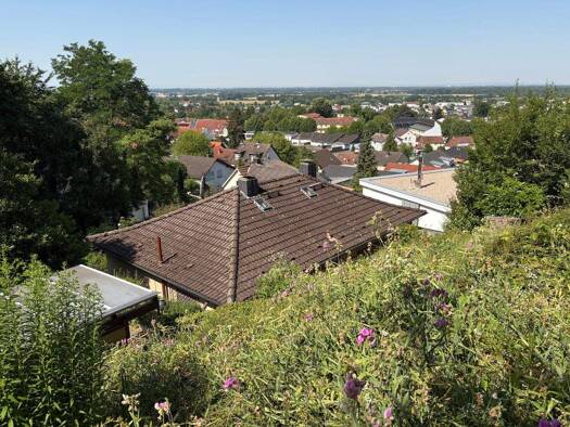 Einfamilienhaus zum Kauf 698.000 € 5,5 Zimmer 140 m² 681 m² Grundstück frei ab 01.01.2027 Auerbach Bensheim 64625