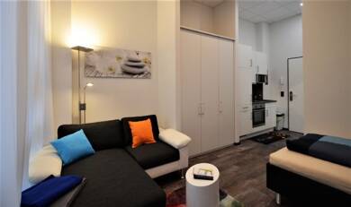 Studio zur Miete Wohnen auf Zeit 1.095 € 1 Zimmer 22 m² Weißenburger Straße 28 Innenstadt Aschaffenburg 63741