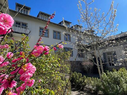 Wohnung zum Kauf als Kapitalanlage geeignet 210.000 € 2 Zimmer 52,4 m² Wunderlich Strasse 16 Loschwitz/Wachwitz Dresden 01326