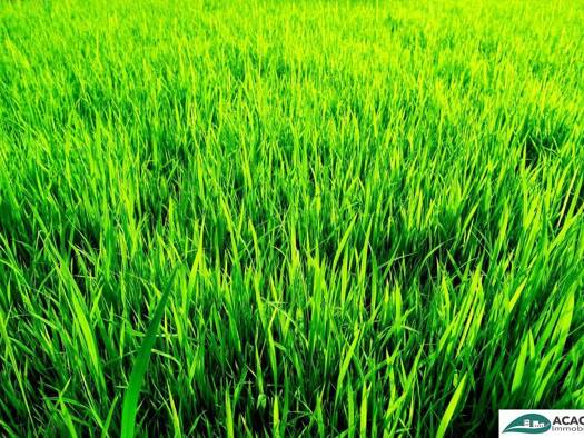 Grundstück zum Kauf 279.500 € 964 m² Grundstück Feldgasse Michelhausen 3451