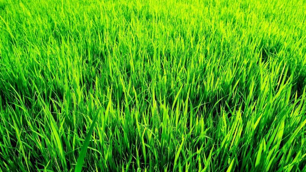 Grundstück zum Kauf 279.500 € 964 m² Grundstück Feldgasse Michelhausen 3451