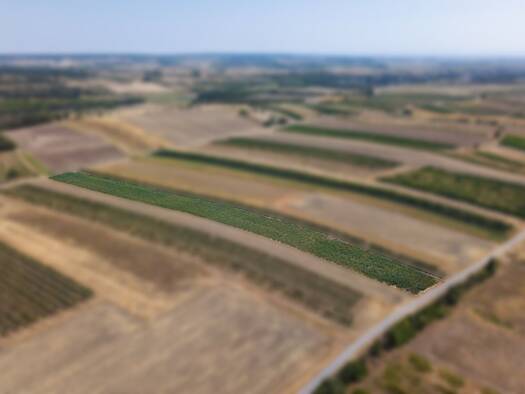 Land-/Forstwirtschaft zum Kauf 5.681 m² Grundstück Bockfließ 2213