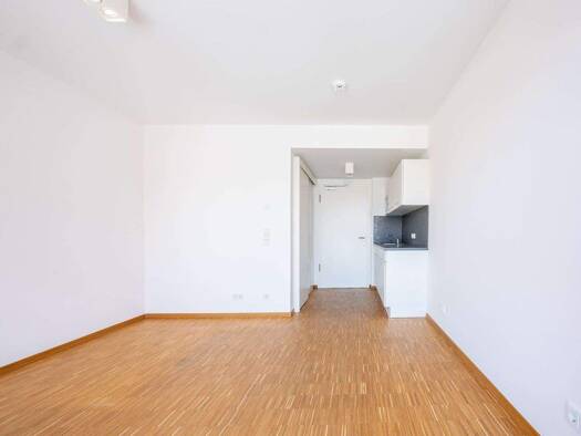 Studio zur Miete 435 € 1 Zimmer 27,6 m² Straubing 94315
