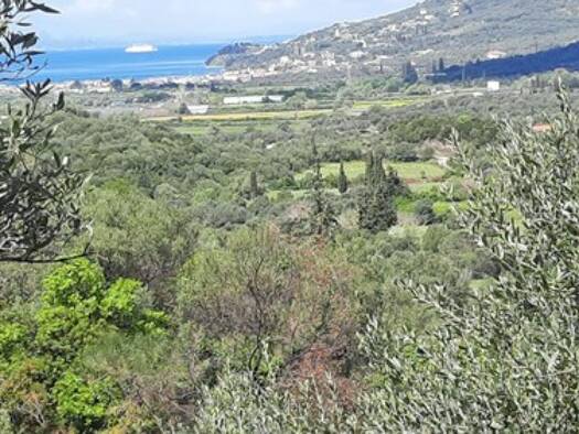 Grundstück zum Kauf 75.000 € 14.419 m² Grundstück Plataria 46100