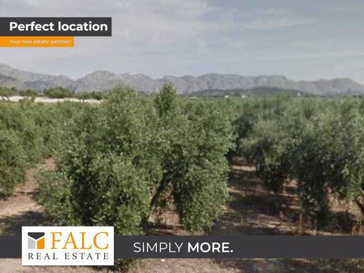 Grundstück zum Kauf provisionsfrei 960.000 € 35.859 m² Grundstück Alcúdia 07400