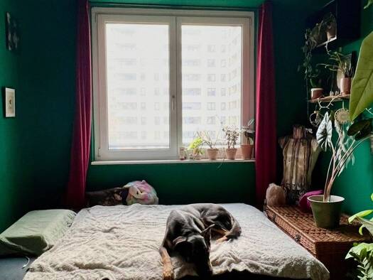 Wohnung zur Miete 924 € 2 Zimmer 50 m² Geschoss 2/9 frei ab 20.04.2026 Friedrichsfelde Berlin 10319