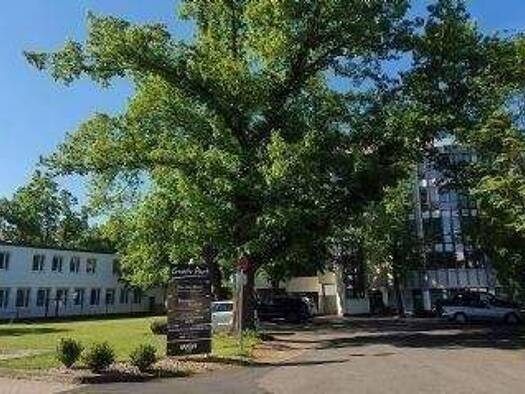 Bürofläche zur Miete provisionsfrei 12,50 € 1 Zimmer 22,8 m² Bürofläche Regensburger Straße 334a Gleißhammer Nürnberg 90480