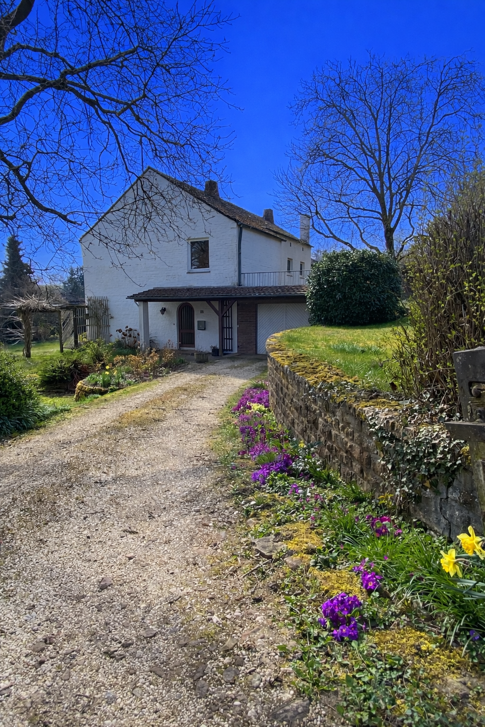 Immobilie in Dudeldorf - Einfamilienhaus mit Traumgrundstück! - Bild 1