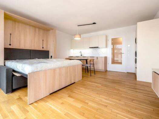 Wohnung zum Kauf - Neubau provisionsfrei 273.500 € 1 Zimmer 39,2 m² Alexander-Puschkin-Platz 1 Leipziger Vorstadt Ortsamtsbereich Neustadt 01097