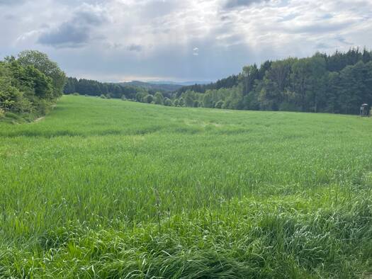 Land-/Forstwirtschaft zum Kauf 37.353 m² Grundstück Waidhaus Waidhaus / Reichenau 92726