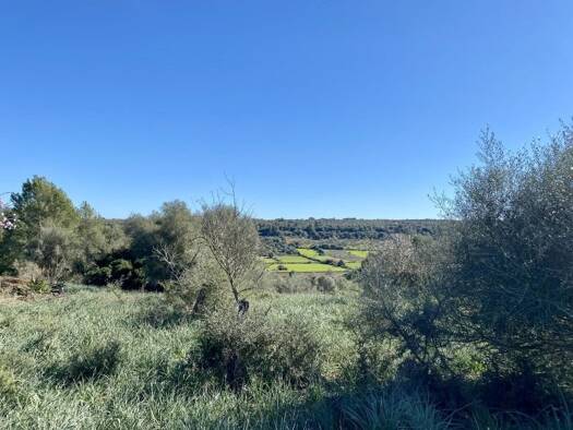 Grundstück zum Kauf 354.000 € 16.300 m² Grundstück Algaida 07210