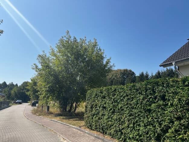 Grundstück zum Kauf 333.333 € 1.700 m² Grundstück Görsdorf Storkow (Mark) / Görsdorf bei Storkow 15859