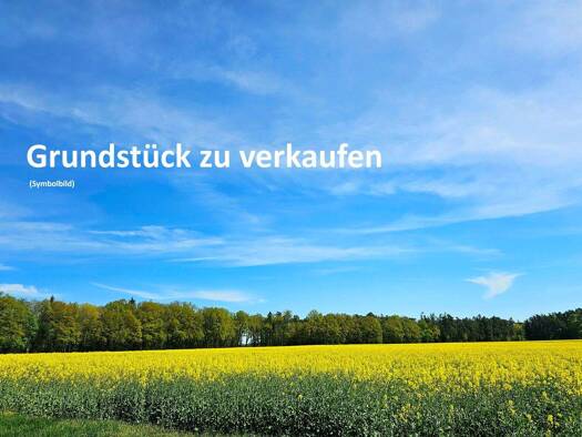 Grundstück zum Kauf 39.500 € 571 m² Grundstück Busenberg 76891