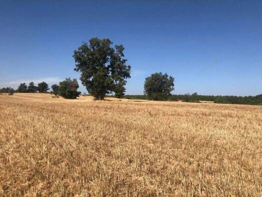 Grundstück zum Kauf 150.000 € 122.000 m² Grundstück Mayalde 49718