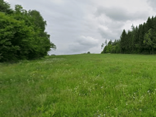 Grundstück zum Kauf 96.550 € 862 m² Grundstück Ferndorf 9701