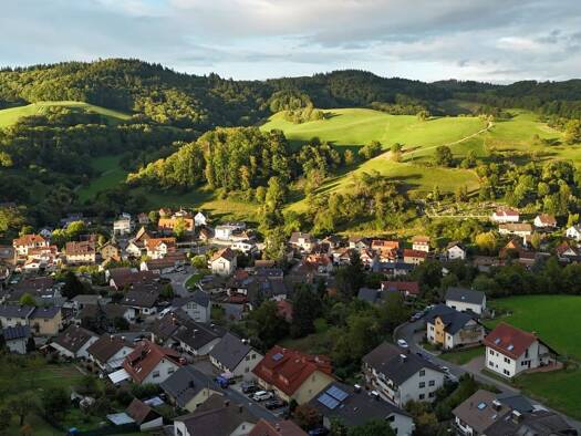 Einfamilienhaus zum Kauf 866.350 € 5 Zimmer 153 m² 583 m² Grundstück Unter-Flockenbach Gorxheimertal 69517