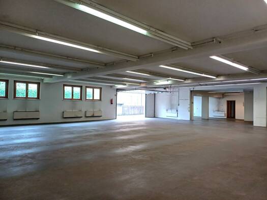 Halle/Industriefläche zum Kauf 2.890 € 481,4 m² Lagerfläche Salzburg Salzburg(Stadt) 5020