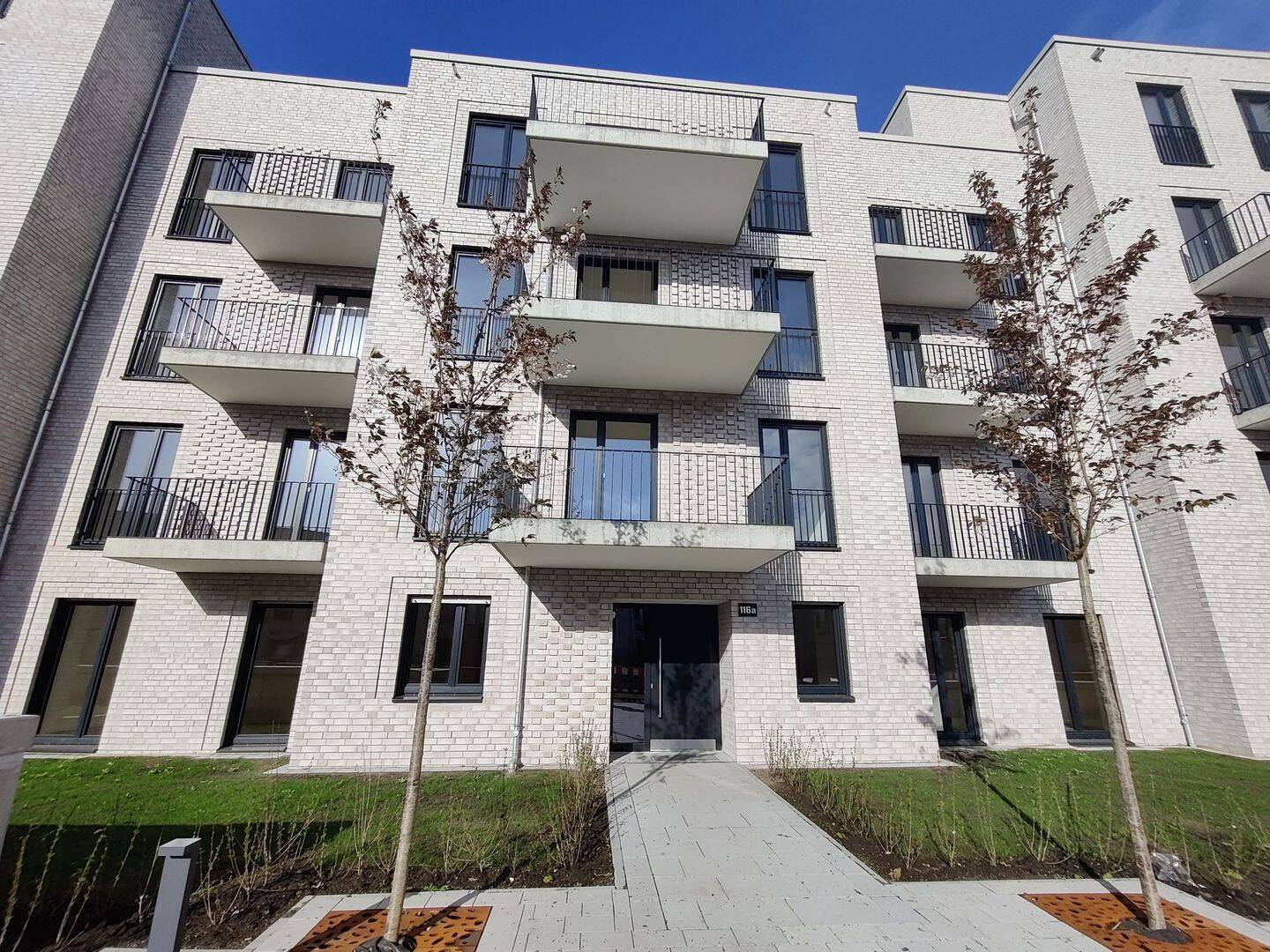 Wohnung zur Miete