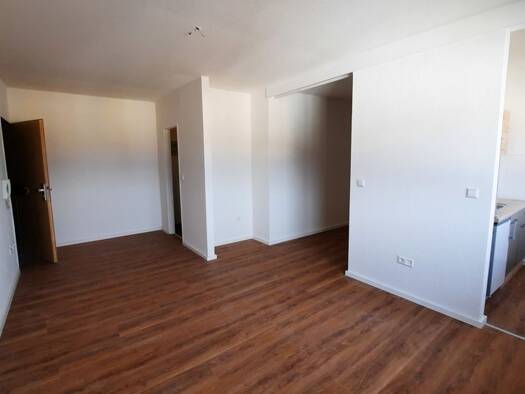 Wohnung zur Miete 440 € 1,5 Zimmer 29,3 m² frei ab 01.09.2026 Süd Ludwigshafen am Rhein 67061